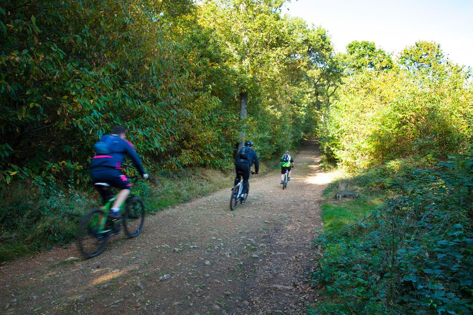Des cyclistes dans les bois de Verrières-le-Buisson - Agrandir l'image, . 0octets (fenêtre modale)