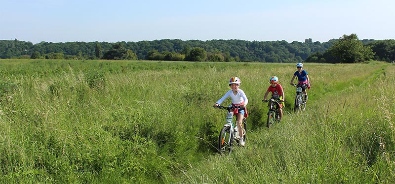 Cyclistes au milieu des champs